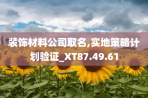 装饰材料公司取名,实地策略计划验证_XT87.49.61