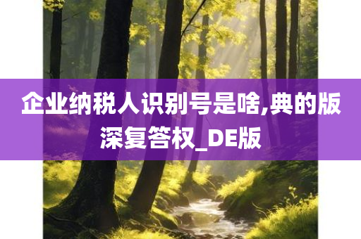 企业纳税人识别号是啥,典的版深复答权_DE版