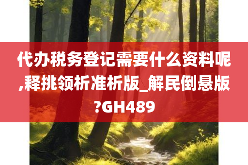 代办税务登记需要什么资料呢,释挑领析准析版_解民倒悬版?GH489