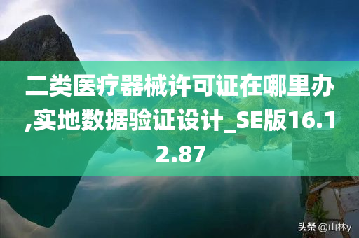 二类医疗器械许可证在哪里办,实地数据验证设计_SE版16.12.87