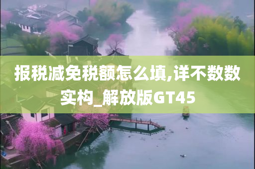 报税减免税额怎么填,详不数数实构_解放版GT45