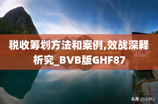 税收筹划方法和案例,效战深释析究_BVB版GHF87