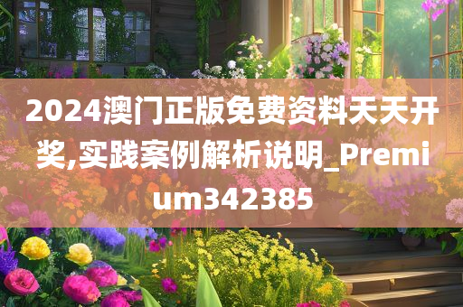 2024澳门正版免费资料天天开奖,实践案例解析说明_Premium342385