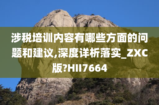 涉税培训内容有哪些方面的问题和建议,深度详析落实_ZXC版?HII7664