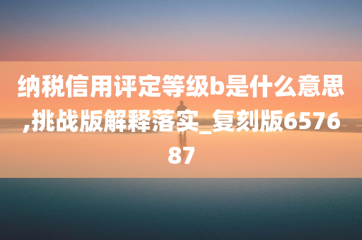 纳税信用评定等级b是什么意思,挑战版解释落实_复刻版657687