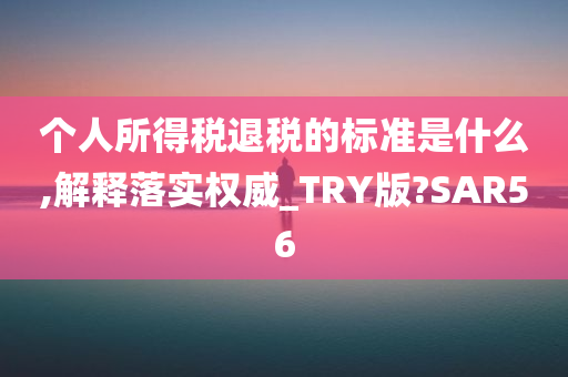 个人所得税退税的标准是什么,解释落实权威_TRY版?SAR56