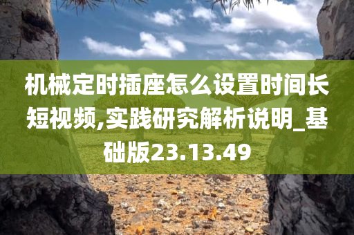 机械定时插座怎么设置时间长短视频,实践研究解析说明_基础版23.13.49