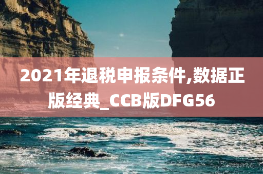 2021年退税申报条件,数据正版经典_CCB版DFG56