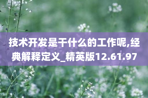 技术开发是干什么的工作呢,经典解释定义_精英版12.61.97