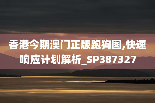 香港今期澳门正版跑狗图,快速响应计划解析_SP387327