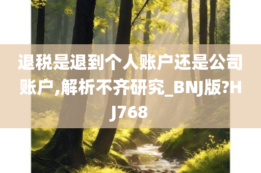 退税是退到个人账户还是公司账户,解析不齐研究_BNJ版?HJ768