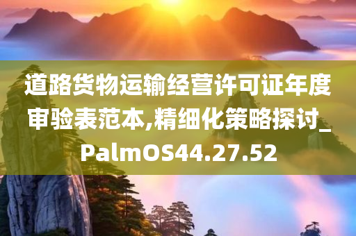 道路货物运输经营许可证年度审验表范本,精细化策略探讨_PalmOS44.27.52