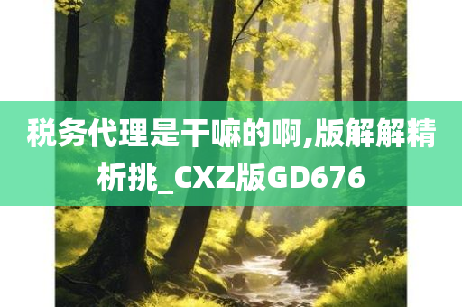 税务代理是干嘛的啊,版解解精析挑_CXZ版GD676