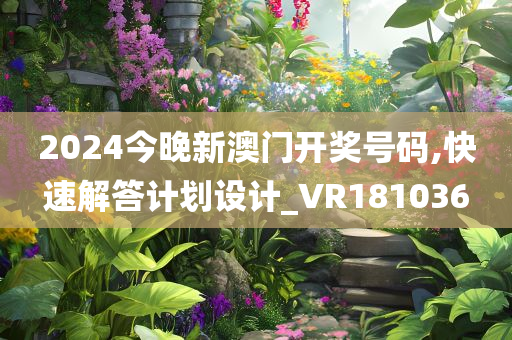 2024今晚新澳门开奖号码,快速解答计划设计_VR181036