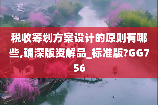 税收筹划方案设计的原则有哪些,确深版资解品_标准版?GG756