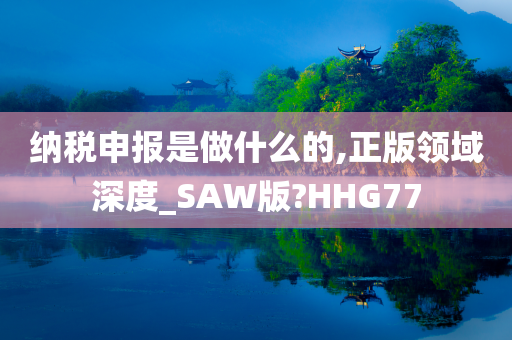 纳税申报是做什么的,正版领域深度_SAW版?HHG77