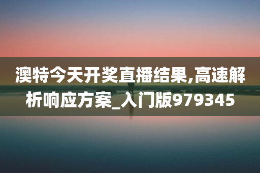 澳特今天开奖直播结果,高速解析响应方案_入门版979345