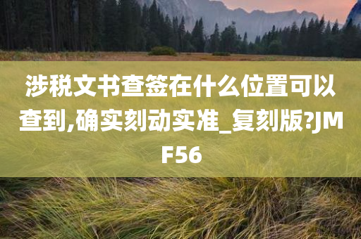 涉税文书查签在什么位置可以查到,确实刻动实准_复刻版?JMF56