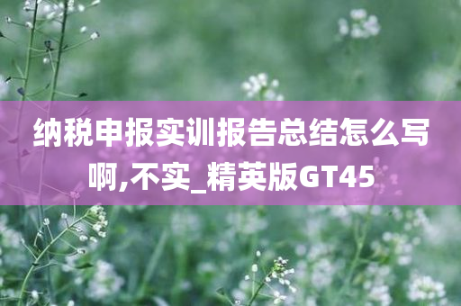 纳税申报实训报告总结怎么写啊,不实_精英版GT45