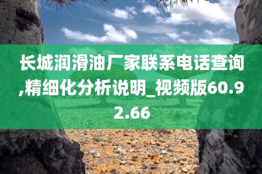 长城润滑油厂家联系电话查询,精细化分析说明_视频版60.92.66