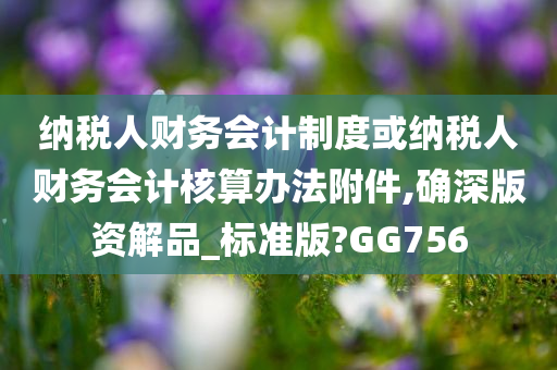 纳税人财务会计制度或纳税人财务会计核算办法附件,确深版资解品_标准版?GG756