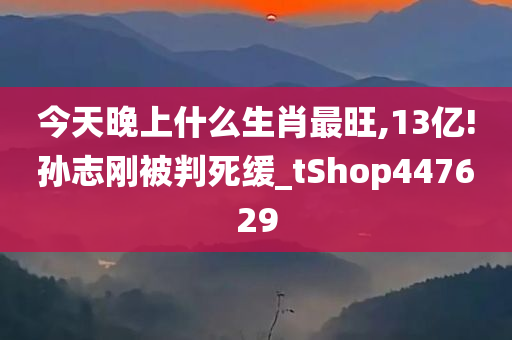 今天晚上什么生肖最旺,13亿!孙志刚被判死缓_tShop447629