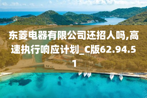 东菱电器有限公司还招人吗,高速执行响应计划_C版62.94.51