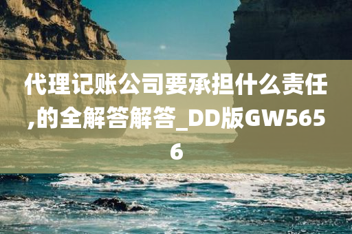 代理记账公司要承担什么责任,的全解答解答_DD版GW5656