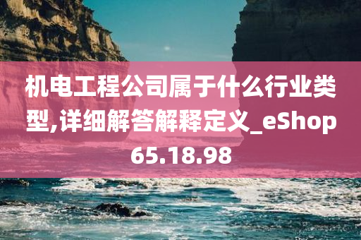 机电工程公司属于什么行业类型,详细解答解释定义_eShop65.18.98