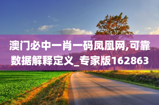 澳门必中一肖一码凤凰网,可靠数据解释定义_专家版162863