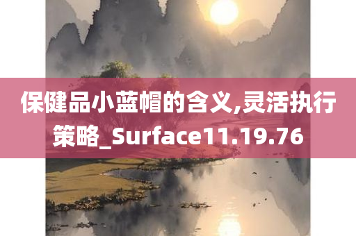 保健品小蓝帽的含义,灵活执行策略_Surface11.19.76