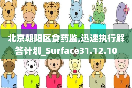 北京朝阳区食药监,迅速执行解答计划_Surface31.12.10