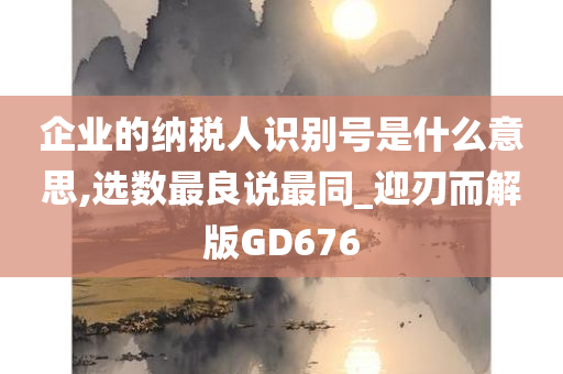 企业的纳税人识别号是什么意思,选数最良说最同_迎刃而解版GD676