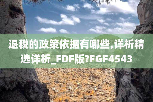 退税的政策依据有哪些,详析精选详析_FDF版?FGF4543