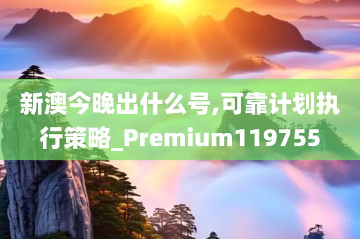 新澳今晚出什么号,可靠计划执行策略_Premium119755