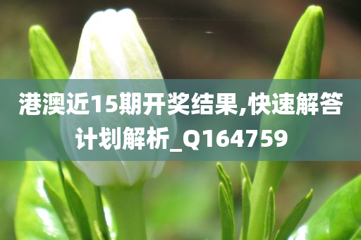 港澳近15期开奖结果,快速解答计划解析_Q164759