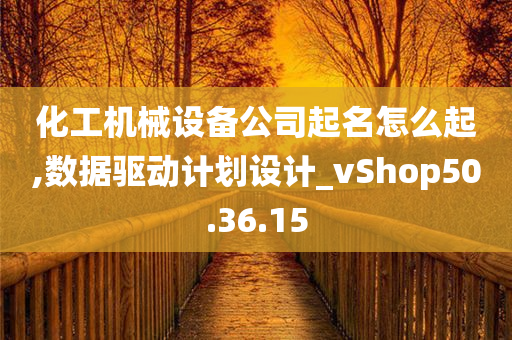 化工机械设备公司起名怎么起,数据驱动计划设计_vShop50.36.15