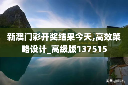 新澳门彩开奖结果今天,高效策略设计_高级版137515