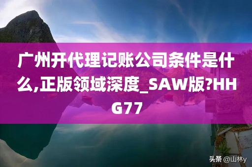 广州开代理记账公司条件是什么,正版领域深度_SAW版?HHG77