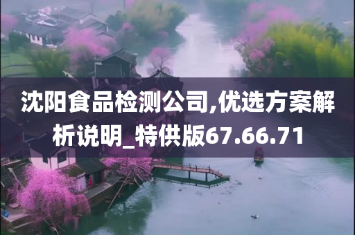 沈阳食品检测公司,优选方案解析说明_特供版67.66.71