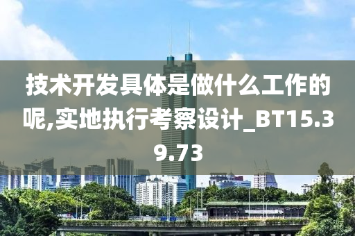 技术开发具体是做什么工作的呢,实地执行考察设计_BT15.39.73