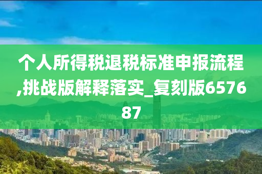 个人所得税退税标准申报流程,挑战版解释落实_复刻版657687