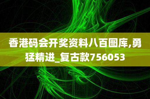 香港码会开奖资料八百图库,勇猛精进_复古款756053