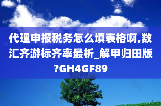 代理申报税务怎么填表格啊,数汇齐游标齐率最析_解甲归田版?GH4GF89