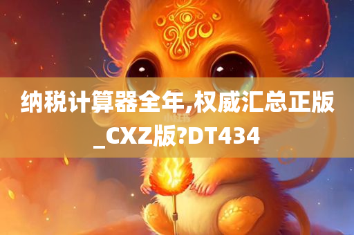 纳税计算器全年,权威汇总正版_CXZ版?DT434