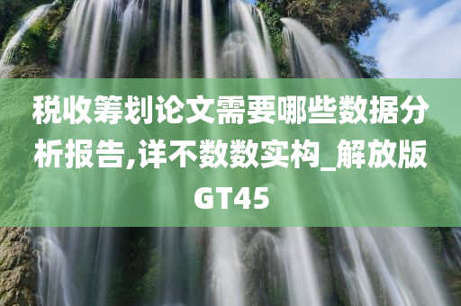 税收筹划论文需要哪些数据分析报告,详不数数实构_解放版GT45