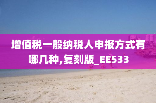 增值税一般纳税人申报方式有哪几种,复刻版_EE533