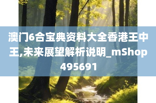 澳门6合宝典资料大全香港王中王,未来展望解析说明_mShop495691