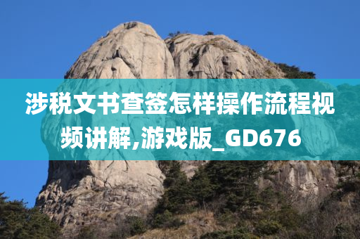 涉税文书查签怎样操作流程视频讲解,游戏版_GD676