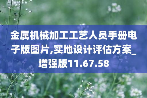 金属机械加工工艺人员手册电子版图片,实地设计评估方案_增强版11.67.58